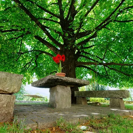 Apartma Kapitanovse Apartamento